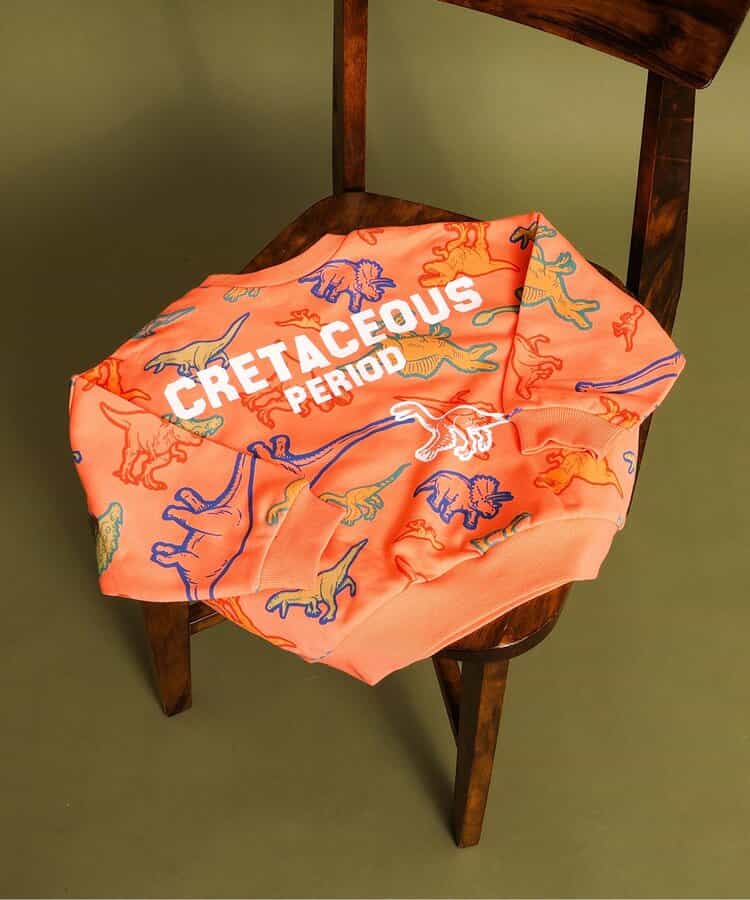日本童裝 BREEZE x 福井県立恐竜博物館 恐龍衛衣 80-140cm 男童款 秋季 TOPS
