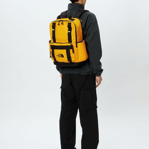 TNF adult backpack series (directly shipped from Japan) and other brands