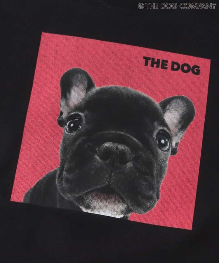 FOKIDS x THE DOG Japanese Children's Clothing: Printed Short-Sleeved Top (80-140cm) for Boys and Girls (Summer) (Other Brands)