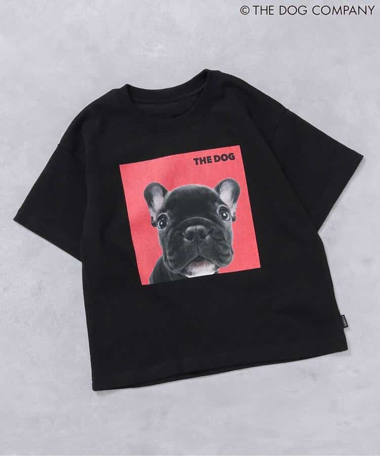 FOKIDS x THE DOG Japanese Children's Clothing: Printed Short-Sleeved Top (80-140cm) for Boys and Girls (Summer) (Other Brands)