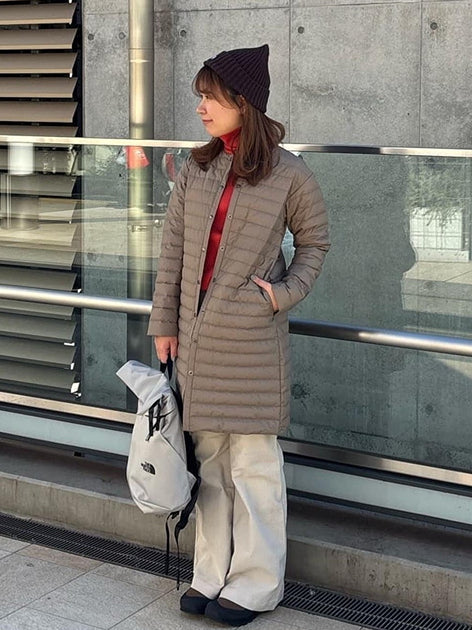 TNF adult backpack series (directly shipped from Japan) and other brands