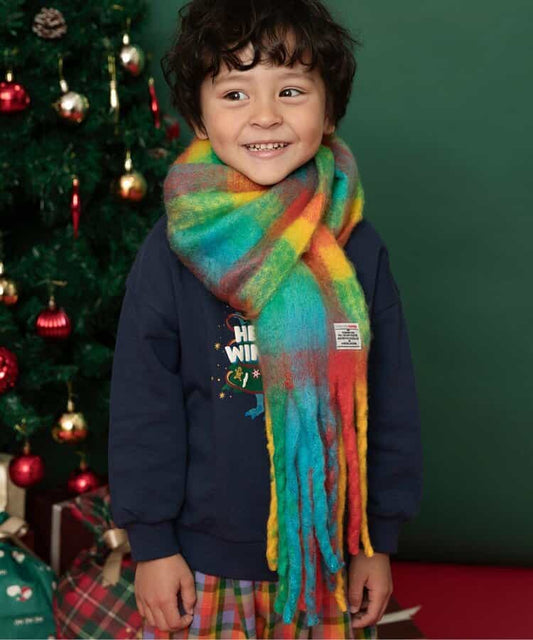 BR#22EE Socks (1 pair, 13-21cm) Direct from Japan