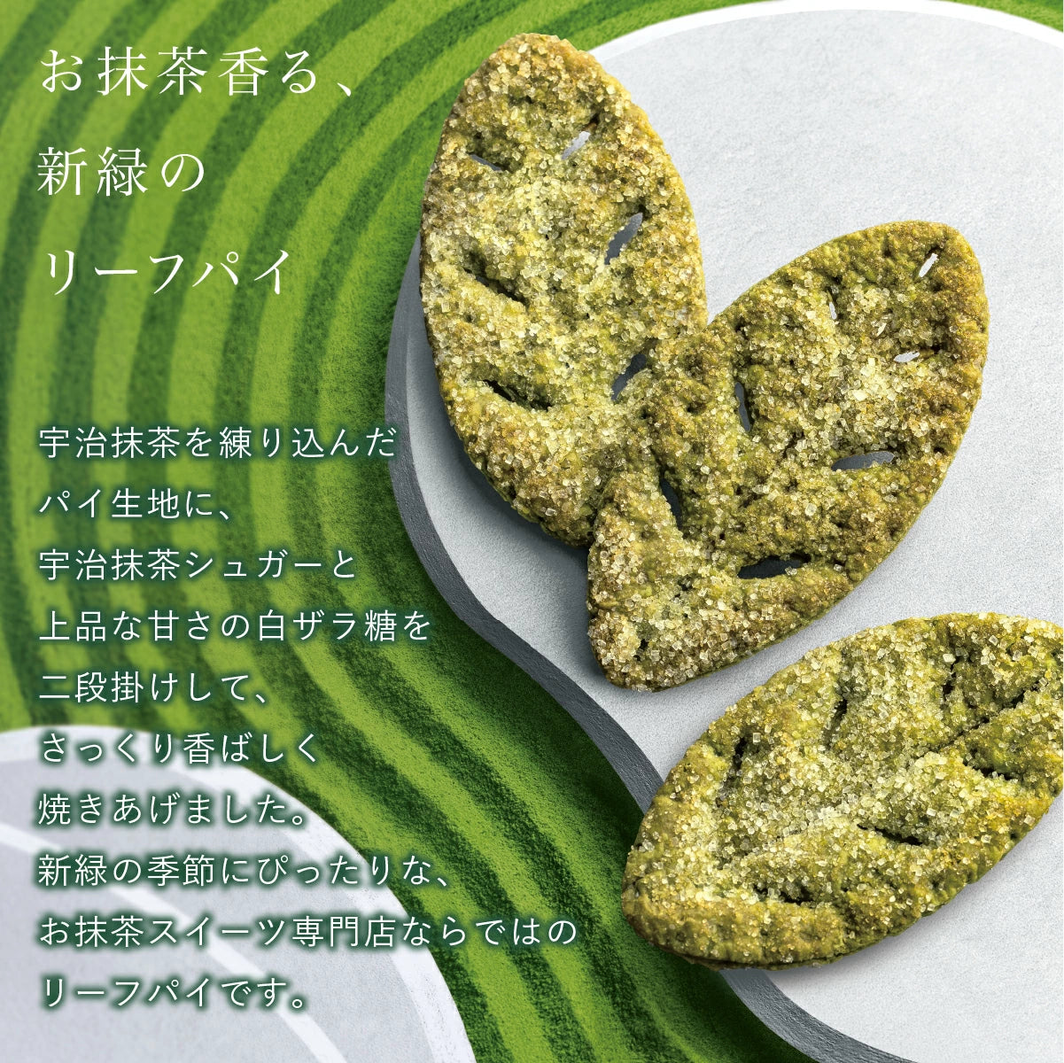 日本直送 KAMAKURA 茶の福 抹茶樹葉酥 6個 中秋節限定手信