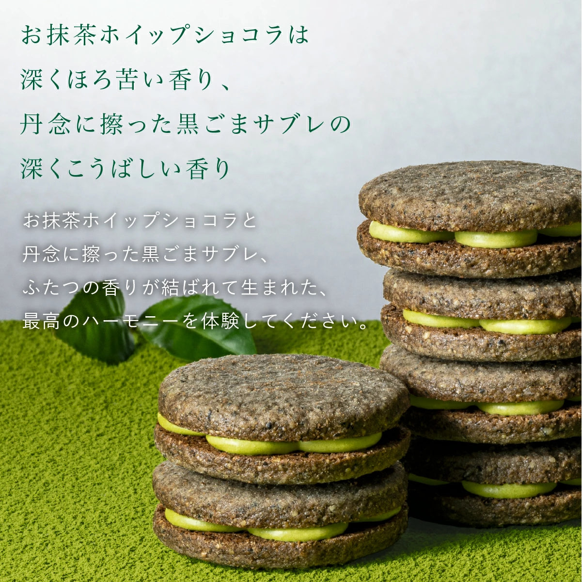 日本直送 KAMAKURA 茶の福 抹茶雜錦系列 12個 中秋節限定手信