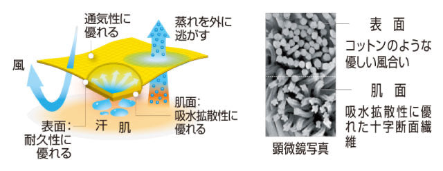 日本童裝 mont-bell 防UV/吸水速乾/耐用/透氣/抑制氣味 大正池/冬季谷/雪山攀登/屋久島圖案上衣 XS-XL 大人款 夏季 TOPS