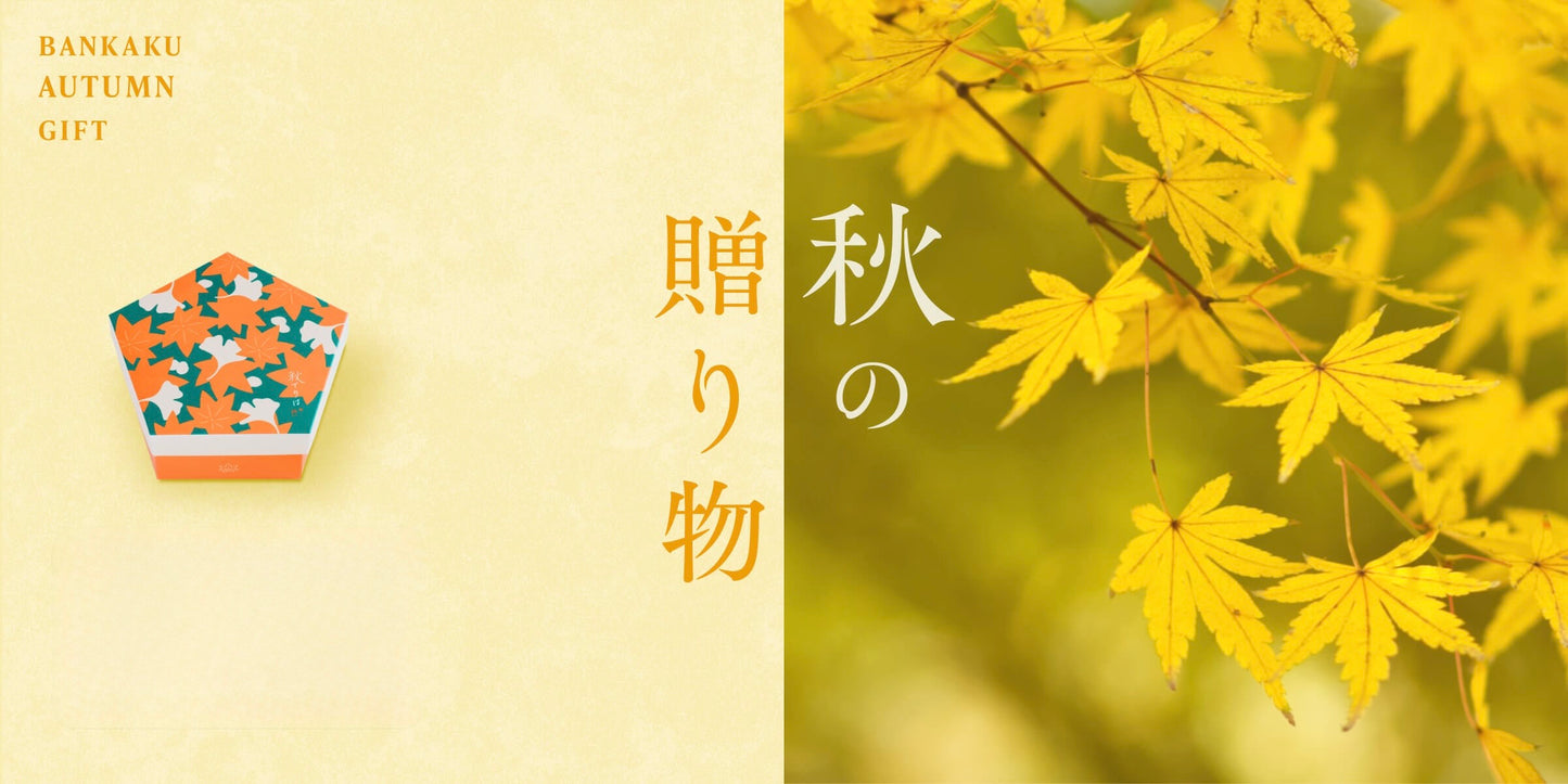 日本直送 坂角総本舖 秋てりは 7枚+2袋/12枚+6袋 中秋節限定手信