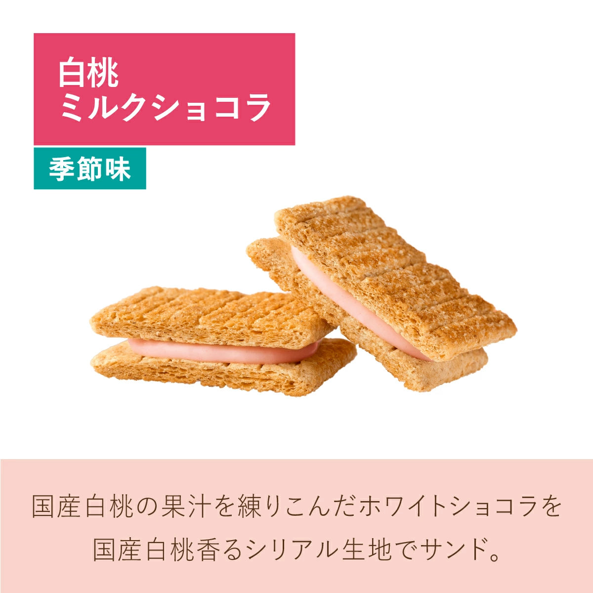 日本直送 SUGAR BUTTER TREE 焦糖餅乾+原味+白桃奶油夾心酥餅 33/46/57個入 中秋節/萬聖節 限定手信