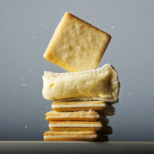 日本直送 Tokyo Milk Cheese 海鹽金文拔芝士夾心餅 9/18枚入 新年行運發財特輯 Happy New Year 馬年 限定手信