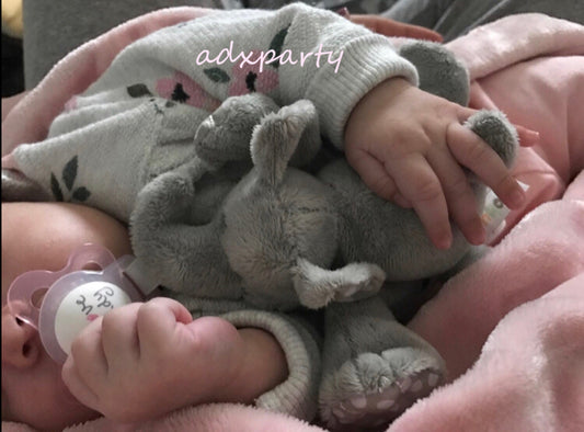 🇺🇸 美國直送 安撫奶嘴公仔 奶嘴Buddy