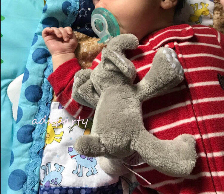 🇺🇸 Direct from the US, pacifier doll, pacifier Buddy