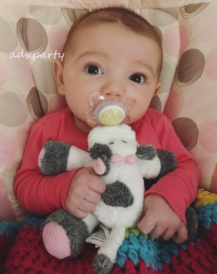 🇺🇸 Direct from the US, pacifier doll, pacifier Buddy