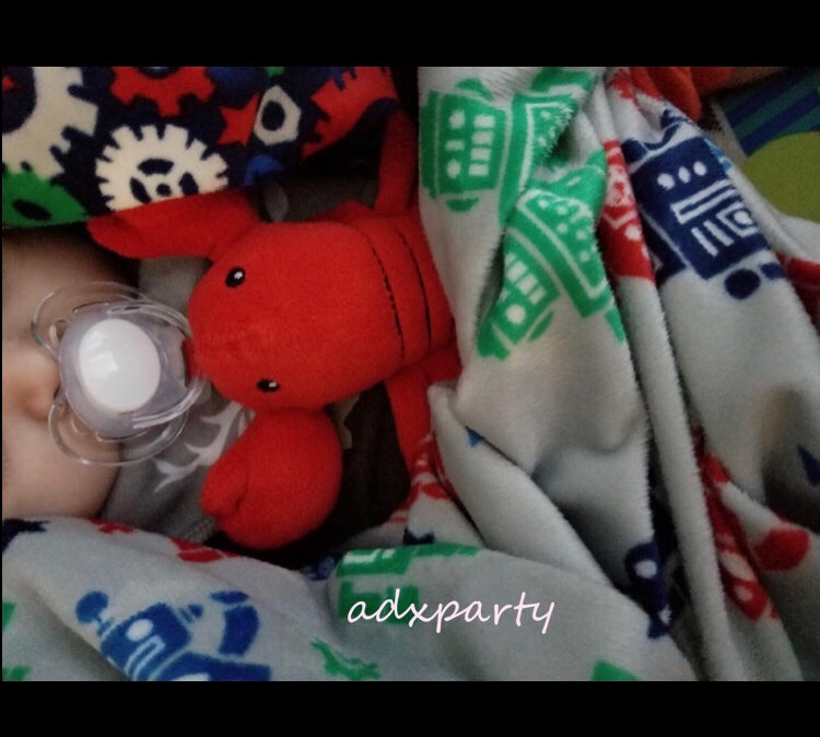 🇺🇸 Direct from the US, pacifier doll, pacifier Buddy