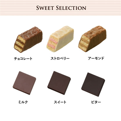 日本直送 Mary's Chocolate 雜錦朱古力禮盒 細/中/大 聖誕快樂特輯 新年行運發財特輯 Christmas Happy New Year 馬年 限定手信