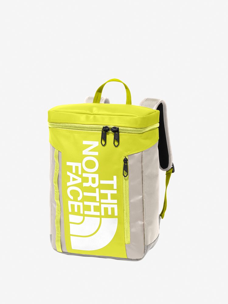TNF Backpack 21L (Direct from Japan) Kids' Bag Series Other Brands 
