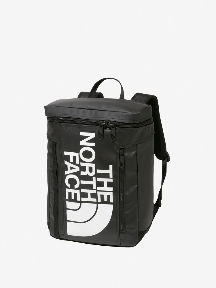 TNF Backpack 21L (Direct from Japan) Kids' Bag Series Other Brands 