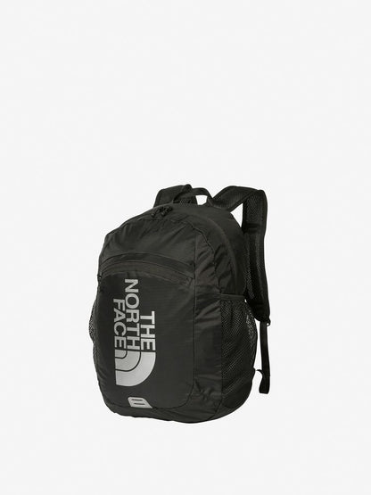 TNF Backpack 15L for Kids (Direct from Japan) Other Brands 