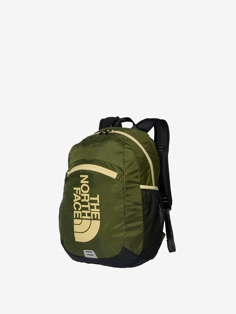 TNF Backpack 15L for Kids (Direct from Japan) Other Brands 