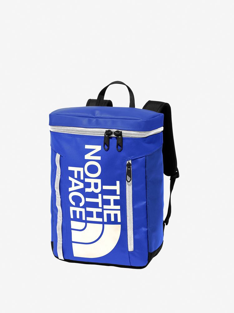 TNF Backpack 21L (Direct from Japan) Kids' Bag Series Other Brands 