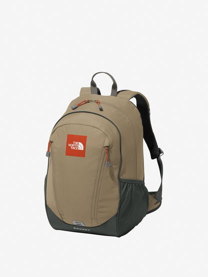 TNF Backpack 22L (Direct from Japan) Kids' Bag Series Other Brands 