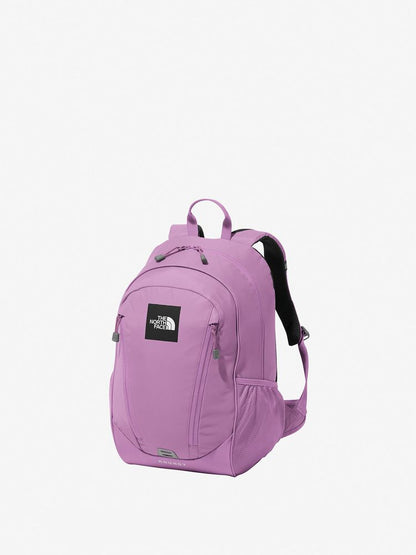 TNF Backpack 22L (Direct from Japan) Kids' Bag Series Other Brands 