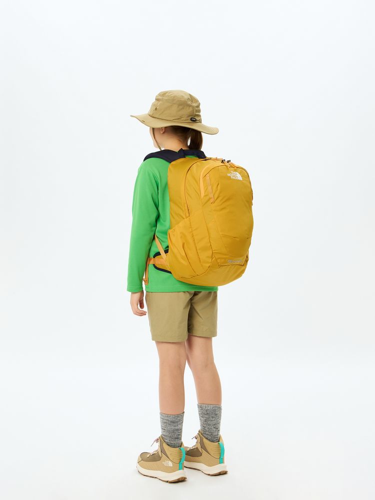 TNF Backpack 20L (Direct from Japan) Kids' Bag Series Other Brands 
