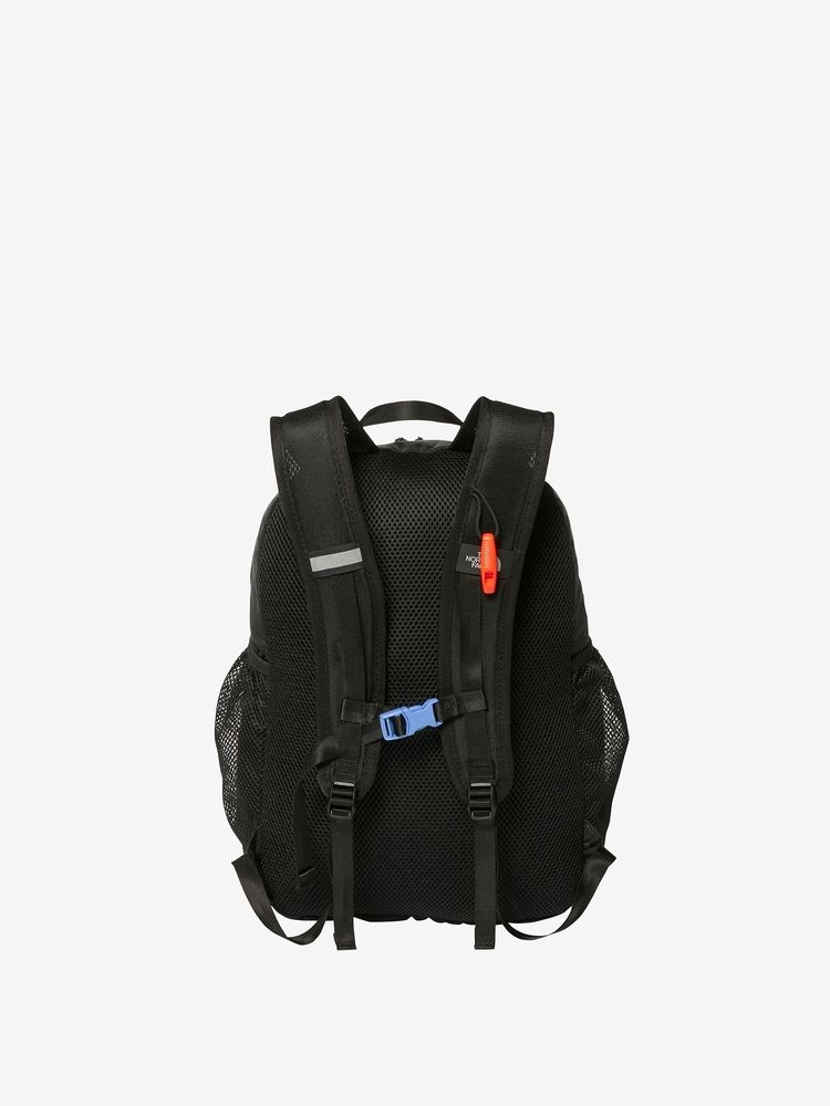 TNF Backpack 15L for Kids (Direct from Japan) Other Brands 