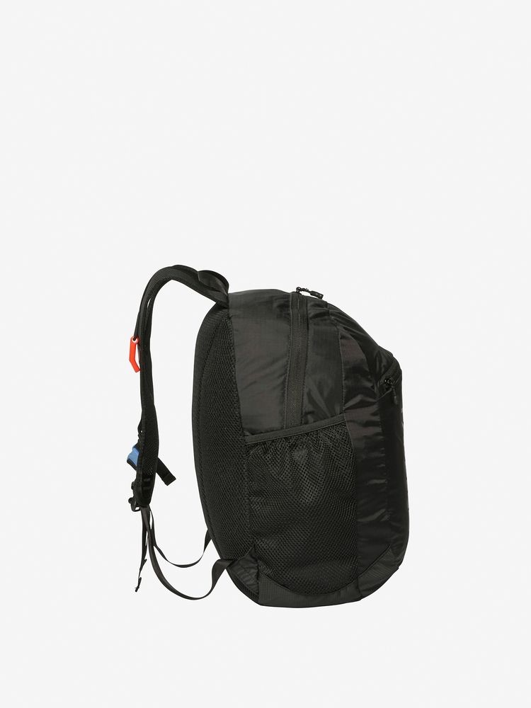 TNF Backpack 15L for Kids (Direct from Japan) Other Brands 