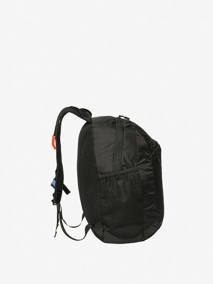TNF Backpack 15L for Kids (Direct from Japan) Other Brands 