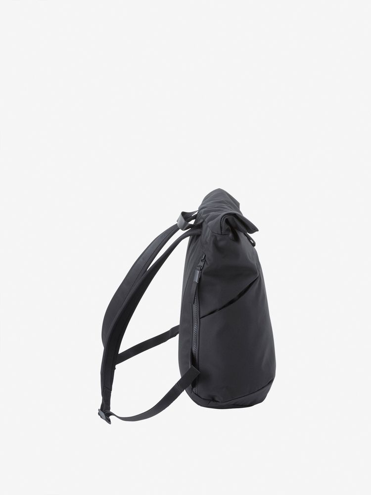 TNF adult backpack series (directly shipped from Japan) and other brands 