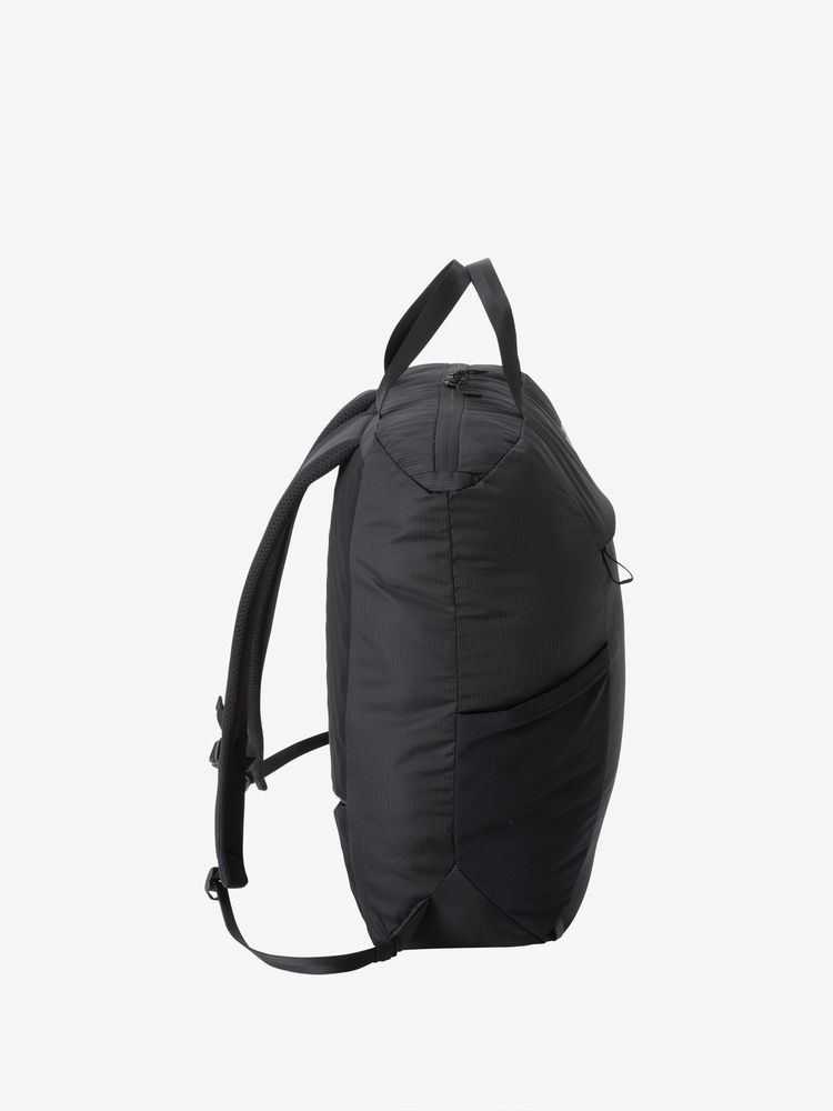 TNF adult backpack series (directly shipped from Japan) and other brands 