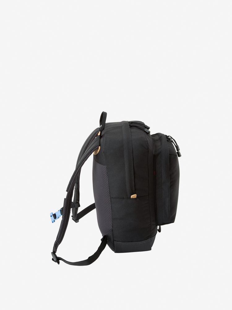TNF Backpack 13L for Kids (Direct from Japan) Other Brands 
