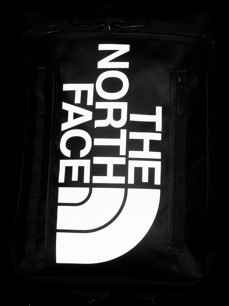 TNF Backpack 21L (Direct from Japan) Kids' Bag Series Other Brands 