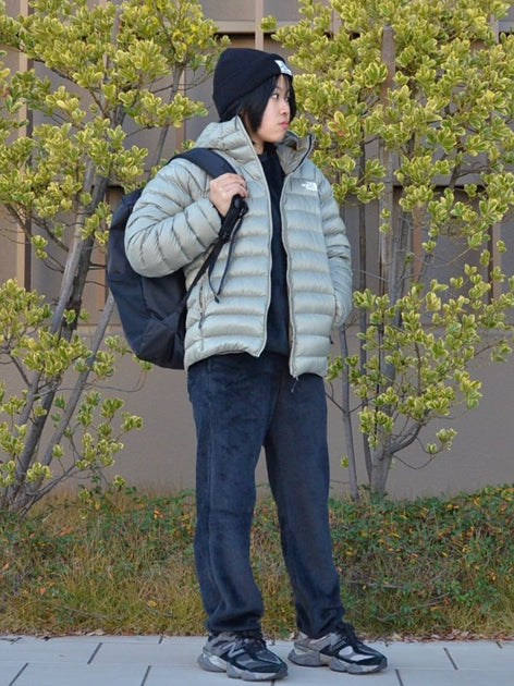 TNF adult backpack series (directly shipped from Japan) and other brands 