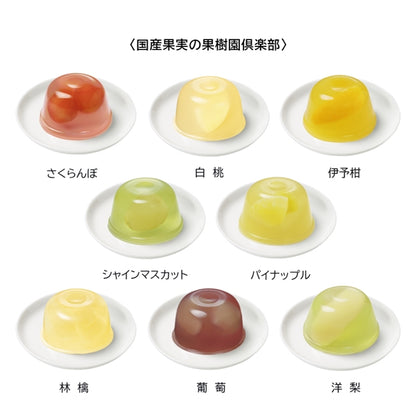 日本直送 Mary's Chocolate 日本國產果園俱樂部 6/8個入 中秋節/萬聖節 限定手信