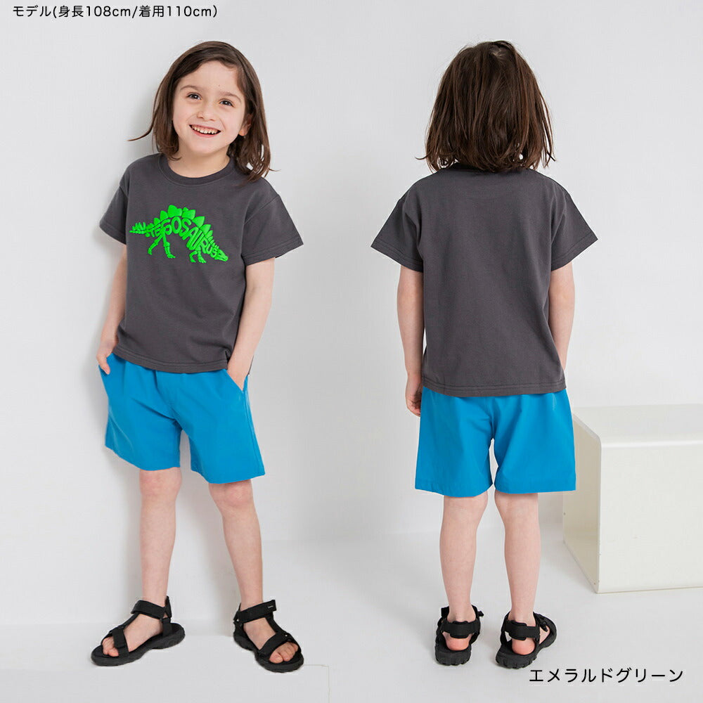Japanese Kids' Branches Amphibious Beach Shorts/Casual Shorts 80-150cm Boys' Summer PANTS Summer Swimwear Special 