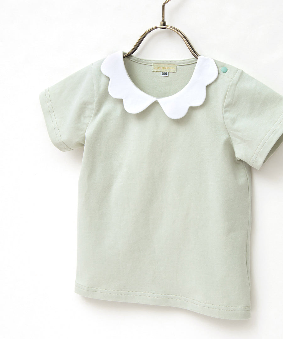 Japanese children's clothing panpantutu lace collar short-sleeved top 90-140cm girls summer TOPS 