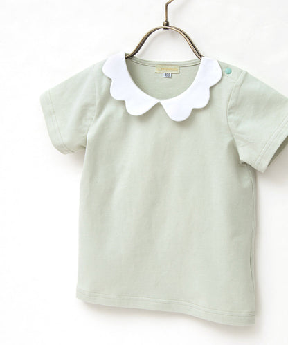 Japanese children's clothing panpantutu lace collar short-sleeved top 90-140cm girls summer TOPS 