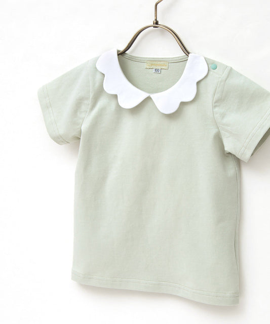 Japanese children's clothing panpantutu lace collar short-sleeved top 90-140cm girls summer TOPS 