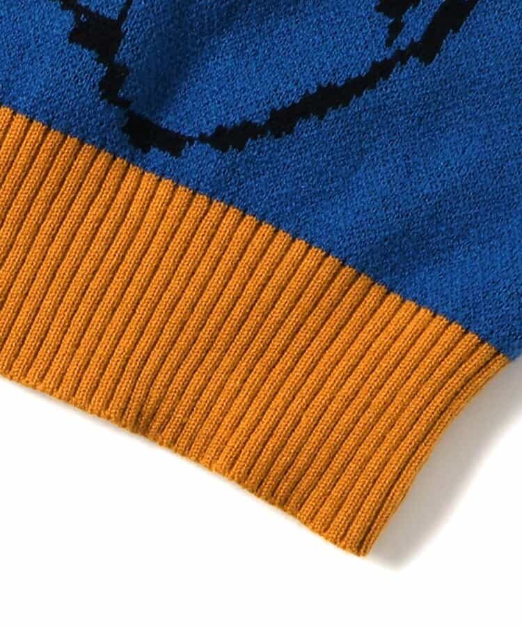 日本童裝 BREEZE x Sesame Street 冷衫 80-140cm 男童款/女童款 冬季 TOPS