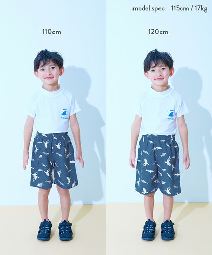 日本童裝 dev!rock 防UV 沙灘褲 100-160cm 男童款 夏季 夏日玩水泳衣特輯