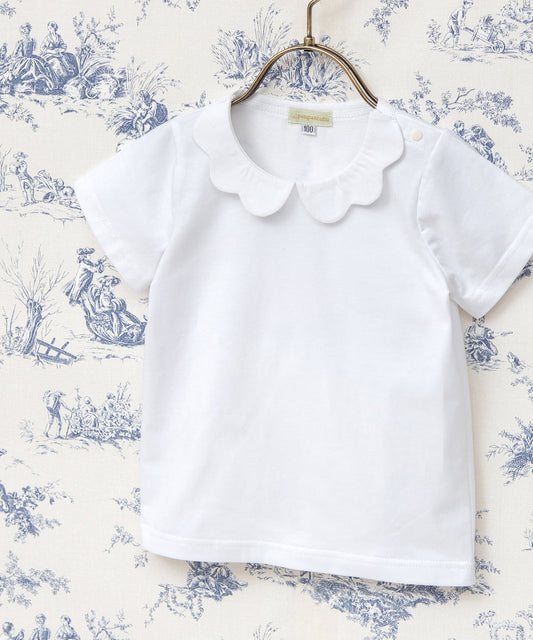 Japanese children's clothing panpantutu lace collar short-sleeved top 90-140cm girls summer TOPS 