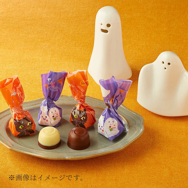 ‼️6/10晚上12點截單‼️日本直送 Mary's Chocolate 朱古力小包袋 限定手信 Halloween攪鬼特輯 萬聖節