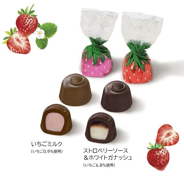 日本直送 Mary's Chocolate 朱古力糖果包 聖誕快樂特輯 新年行運發財特輯 Christmas Happy New Year 馬年 限定手信