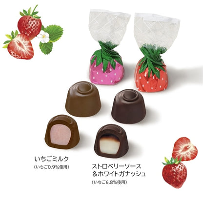 日本直送 Mary's Chocolate 朱古力糖果包 聖誕快樂特輯 新年行運發財特輯 Christmas Happy New Year 馬年 限定手信