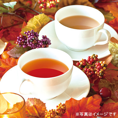 日本直送 Lupicia 南瓜茶 不含咖啡因 10包茶包盒裝 中秋節/萬聖節 限定手信