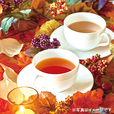 ‼️6/10晚上12點截單‼️日本直送 Lupicia 秋季限定「番薯栗子南瓜茶」（50g 茶葉鐵罐裝）限定手信 Halloween攪鬼特輯 萬聖節