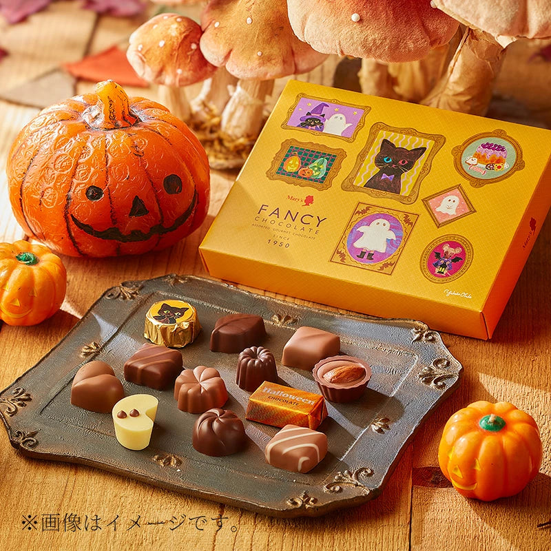 ‼️6/10晚上12點截單‼️日本直送 Mary's Chocolate 「Fancy Chocolate」經典手工朱古力奢華禮盒裝 12/20個入 限定手信 Halloween攪鬼特輯 萬聖節