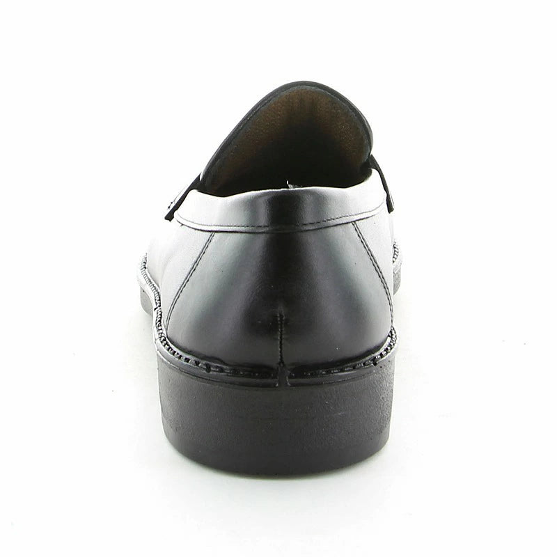 Moonstar Bangaku Shoes (Made in Japan/Genuine Leather/Wide Foot 3E) Direct from Japan: Functional, Healthy Leather Shoes for Children (22-30cm) for Boys