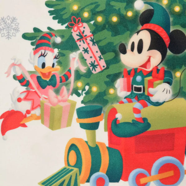 日本直送 發光掛畫 DISNEY CHRISTMAS 聖誕快樂特輯