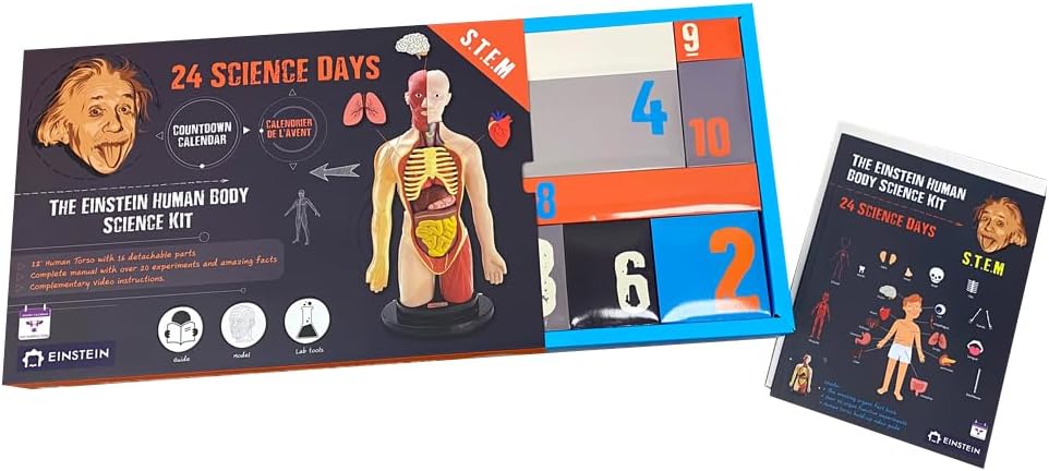 日英美直送  Einstein Human Body Science STEM Experiments Advent Calendar 聖誕倒數日曆 兒童款 聖誕快樂特輯 不參與$900免運 滿$900可加$25免運到順豐站/智能櫃 Christmas Advent Calendars 2026